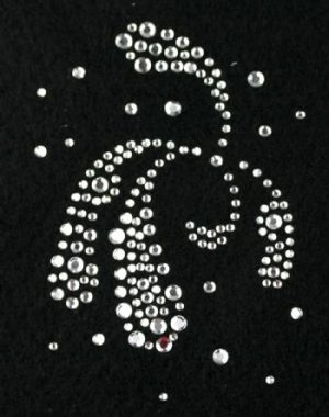 710-crystal-420-design.jpg SC710: Swarovski Krystaller - Crystal Design 420