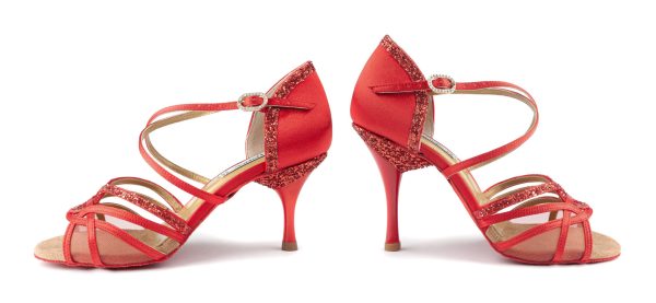 PD800 NET: PortDance show and latin dance shoe - Salsa, Tango, Brudesko